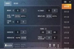 和平精英超级内部辅助什么意思（和平精英辅助什么意思）